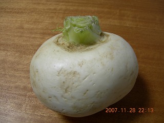 カブ正面.jpg